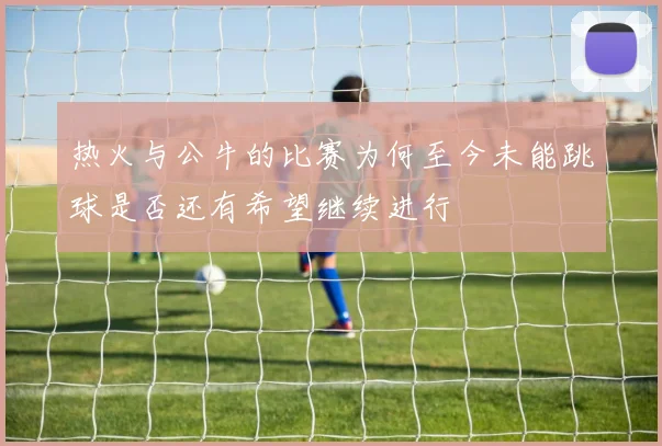 热火与公牛的比赛为何至今未能跳球是否还有希望继续进行